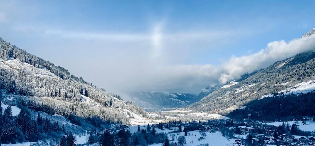 Chalet Badberg バードガシュタイン エクステリア 写真